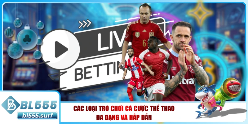 Các loại trò chơi đánh bạc có thể hoạt động đa dạng và hấp dẫn