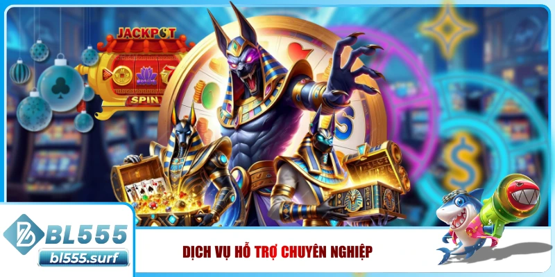Dịch vụ hỗ trợ chuyên nghiệp