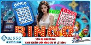 Soi Cầu Miền Trung